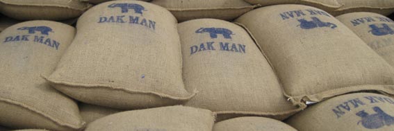 DAKMAN Vietnam coffee beans